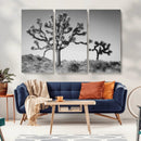 Joshua Tree Wall Art Canvas Print – Framed Monochrome Desert