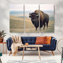 Bison Wall Art Canvas Print – Framed Buffalo American Bison