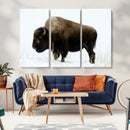 Bison Wall Art Canvas Print – Framed Western Wildlife