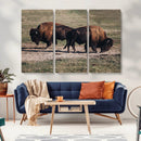 Bison Wall Art Canvas Print – Framed Western Wildlife Modern by MyGreatCanvas | Canvas Wall Art Prints | Photo Prints & Wall Decor