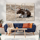 Texas Longhorn Wall Art Canvas Print – Framed Country Living