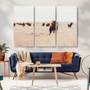 Bison Herd Wall Art Canvas Print – Framed Western Prairie