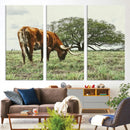 Texas Longhorn Wall Art Canvas Print – Rustic Western Ranch by MyGreatCanvas | Canvas Wall Art Prints | Photo Prints & Wall Decor