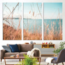 Coastal Grass Landscape Wall Art Canvas Print – Golden