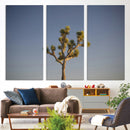 Joshua Tree Wall Art Canvas Print – Framed Southwestern
