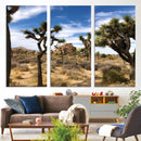 Joshua Tree Desert Wall Art Canvas Print – Framed