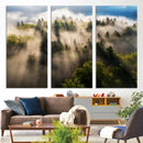 Tranquil Forest Scene Wall Art Canvas Print – Framed Moody