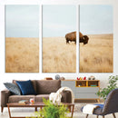 Buffalo Wall Art Canvas Print – Framed Western Wildlife