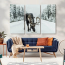 Moose Snow Wall Art Canvas Print – Framed Winter Wildlife
