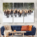 American Bison Herd Wall Art Canvas Print – Powerful Winter by MyGreatCanvas | Canvas Wall Art Prints | Photo Prints & Wall Decor