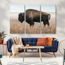 American Bison Wall Art Canvas Print – Majestic Buffalo