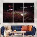 William Brice Stadium Wall Art Print – Baseball Game Room by MyGreatCanvas | Canvas Wall Art Prints | Photo Prints & Wall Decor