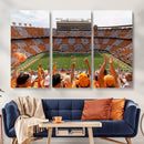 Tennessee Neyland Stadium Wall Art, Sports Arena Canvas by MyGreatCanvas | Canvas Wall Art Prints | Photo Prints & Wall Decor