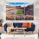 Tennessee Neyland Stadium Wall Art, Sports Arena Canvas by MyGreatCanvas | Canvas Wall Art Prints | Photo Prints & Wall Decor