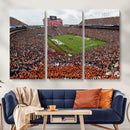 Jordan-Hare Stadium Wall Art Canvas Print, College Sports by MyGreatCanvas | Canvas Wall Art Prints | Photo Prints & Wall Decor