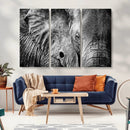 Wild Old Elephant Wall Art Canvas Print