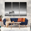 Elephand and Zebra Wall Art Canvas Print, Modern Artwork