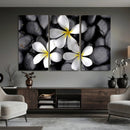 Plumeria Frangipani Black Stone Canvas | White Flower Spa by MyGreatCanvas | Canvas Wall Art Prints | Photo Prints & Wall Decor