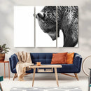 Black and White Grizzly 399 Bear Canvas Print Wall Art | by MyGreatCanvas | Canvas Wall Art Prints | Photo Prints & Wall Decor