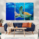 Sea Turtle Wall Art Canvas Print, Sea life in the Ocean Wall