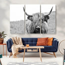 Newfoundland Cow Art Wall Art, Black White Cow Art Wall Art