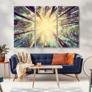 Tree and Sunshine Canvas Print by MyGreatCanvas | Canvas Wall Art Prints | Photo Prints & Wall Decor