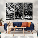 Mighty Angel Oak Wall Art | Angel Oak Tree Art Print by MyGreatCanvas | Canvas Wall Art Prints | Photo Prints & Wall Decor