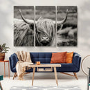 Cow Focus Canvas Wall Art Print by MyGreatCanvas | Canvas Wall Art Prints | Photo Prints & Wall Decor