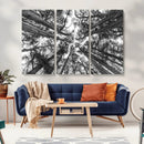 Trees Contemporary Art Canvas Print by MyGreatCanvas | Canvas Wall Art Prints | Photo Prints & Wall Decor