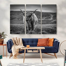 Fluffy Cattle Wall Art Print, Highland Cow Canvas, Framed by MyGreatCanvas | Canvas Wall Art Prints | Photo Prints & Wall Decor