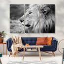 African Lion Wall Art Canvas Print – Majestic Wildlife