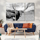 Cattle Wall Art Longhorn Cow Canvas Print