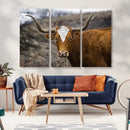 Texas Longhorn Canvas Wall Art - Longhorn Steer Canvas Wall by MyGreatCanvas | Canvas Wall Art Prints | Photo Prints & Wall Decor