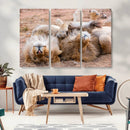 Lion Pair Wall Art Canvas Print – Framed Wildlife Scene with by MyGreatCanvas | Canvas Wall Art Prints | Photo Prints & Wall Decor