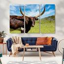 Longhorn and Cow Wall Art, Country Cow Wall Decor Canvas by MyGreatCanvas | Canvas Wall Art Prints | Photo Prints & Wall Decor