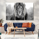 Black and White Lion Canvas Wall Art – Animal Print Artwork