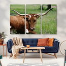 Longhorn Steer Canvas Wall Art – Rustic Nature Triptych