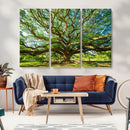 Majestic Oak Tree Wall Art – Serene Nature Canvas Print with
