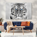 Black and White Tiger Wall Art Animal Canvas Print