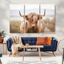 Scottish Serene Highland Cow Canvas Wall Art – Serene