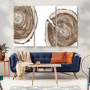 Wood Tree Ring Wall Art Canvas Prints, Tree Rings –
