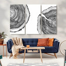Abstract Large Tree Rings – Minimalist Black and White Wood