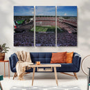South Carolina Gamecocks Football Team Print - Columbia