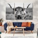 Texas Cow Longhorn Wall Art Canvas Print for Farm House Wall