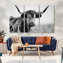 Texas Cow Longhorn Wall Art Canvas Print in Black and White