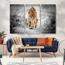 Jaguar Wall Art Canvas Print - Majestic Big Cat in Focused by MyGreatCanvas | Canvas Wall Art Prints | Photo Prints & Wall Decor