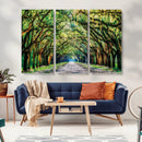 Serene Tree Tunnel Wall Art Canvas Print – Pathway Under