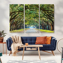 Wormsloe State Plantation Driveway Wall Art Canvas Print by MyGreatCanvas | Canvas Wall Art Prints | Photo Prints & Wall Decor