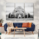 Resting Grizzly Bear Wall Art Canvas Print – Majestic Lazy by MyGreatCanvas | Canvas Wall Art Prints | Photo Prints & Wall Decor