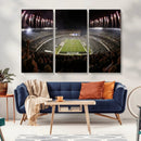 Eagles Field Stadium Wall Art - Philadelphia Eagles Football